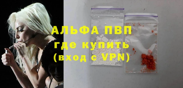 индика Краснотурьинск