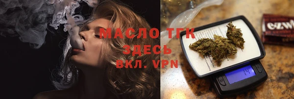индика Краснотурьинск