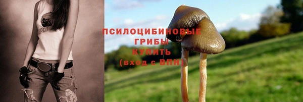 jwh Краснослободск