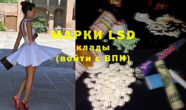 индика Краснотурьинск