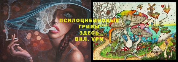 jwh Краснослободск