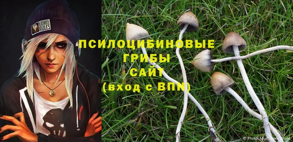 индика Краснотурьинск
