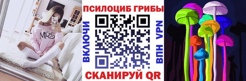 Галлюциногенные грибы мицелий  Купить  Горно-Алтайск 