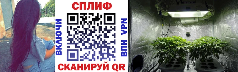 Бошки Шишки ГИДРОПОН Купить Горно-Алтайск